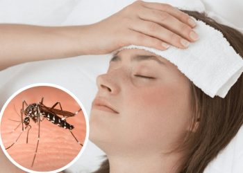 Dengue: con un marcado descenso de casos, Salud recomienda mantener los cuidados todo el año