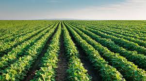 Exportaciones originadas en Santa Fe: en el primer trimestre del año se acumularon casi U$S3.000 millones