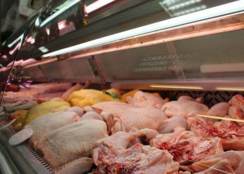 Aumenta el consumo de carne de pollo en Santa Fe mientras baja el consumo de ccarne vacuna.