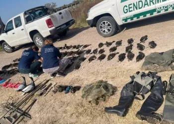 Caza indiscriminada: Turistas franceses detenidos por la caza de patos en el norte de la provincia