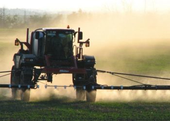 Gaboto: Preocupación por campos que habrían sido fumigados la semana pasada.