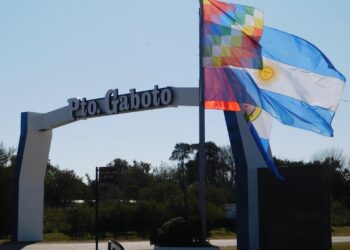 Puerto Gaboto: La comuna aduqiere motosierra de altura para mejorar el mantenimiento de espacios verdes