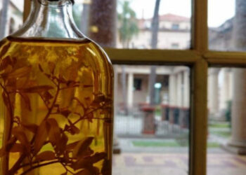 El 1 de Agosto: Un homenaje ancestral a la pachamama y el ritual de la caña con ruda