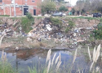Grave situación ambiental en Rosario: La alarmante contaminación del Arroyo Ludueña