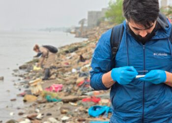 Investigación en curso por mortandad de peces en la costa de Rosario: causas, consecuencias y medidas