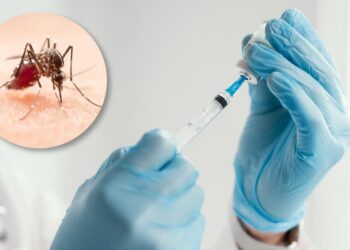 Avances lentos en la vacunación contra el dengue en adolescentes de Santa Fe: Urge reforzar la campaña