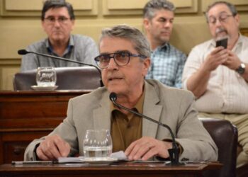 DOW: Media sanciòn al proyecto de Traferri para salvar la planta de Puerto General San Martìn.