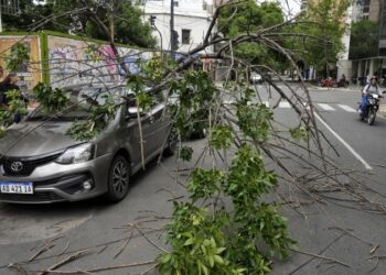 Fuertes ráfagas y caída de árboles: Vivienda y autos dañados en Rosario tras la tormenta de viento y lluvia