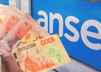 Fin de los créditos de la Ansés: cambios clave para el Fondo de Garantía de Sustentabilidad
