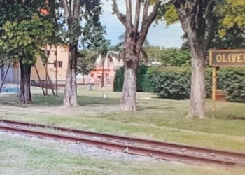 OLIVEROS: Semana del espíritu navideño , una invitación a la comunidad