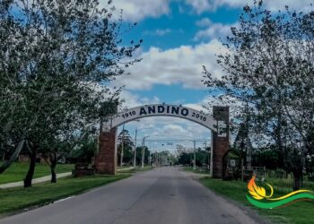 Temporal en la región: voladura de techos, árboles caídos y pueblos sin luz