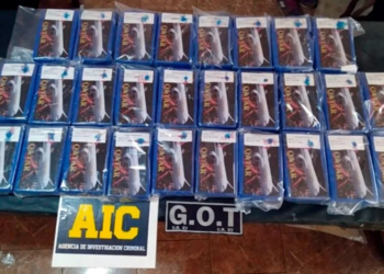 Un fallo dejó al borde del juicio a un ruralista de Diamante: lo acusan de almacenar cocaína en Gaboto