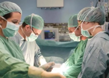 Los órganos ablacionados en efectores de Santa Fe permitieron realizar 189 trasplantes en Argentina