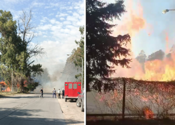 BERMUDEZ: Incendio en el monte de eucaliptos de la empresa Celulosa