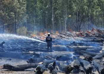 BERMUDEZ: Por tierra y aire se combatió el incendio del monte de Celulosa