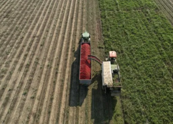Baja temporal de retenciones: referentes del campo santafesino coinciden en que «es positivo, pero no alcanza»