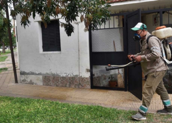 Sin casos de dengue en Santa Fe, pero con advertencias: «En marzo y abril vamos a tener contagios»