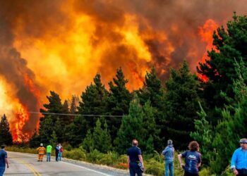 Chubut: avanza un incendio iniciado en un pinar que ya consumió 2 mil hectáreas y obligó a centenas de evacuaciones