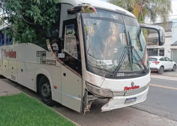 SANTA FE: Quedó libre el hombre que robó un colectivo en la Terminal de Ómnibus y recorrió más de 31 km por toda la ciudad