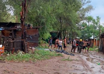 BERMUDEZ: Dos menores heridos por la caída de un árbol