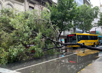 ROSARIO: Fuerte tormenta dejó arboles caidos y un caos en la terminal de omnibus.