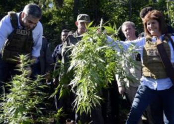 El Gobierno de Milei elimina el Reprocann: qué significa para los usuarios de cannabis medicinal