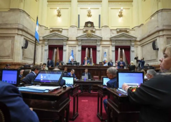 PASO 2025: el senado convirtió en ley la suspención de las Primarias Abiertas Simultaneas y Obligatorias