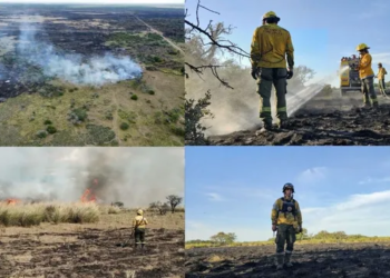 Incendio en el norte provincial : brigadistas trabajan para controlar el fuego en San Javier
