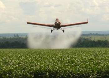 Plenario «Paren de Fumigarnos»: Convocatoria en Gálvez para visibilizar el impacto de los agroquímicos
