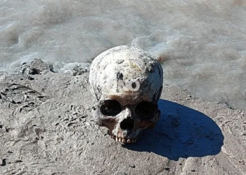 Macabro hallazgo en Sauce Viejo: investigan si los restos óseos hallados en el río Coronda están vinculados a un caso de desaparición