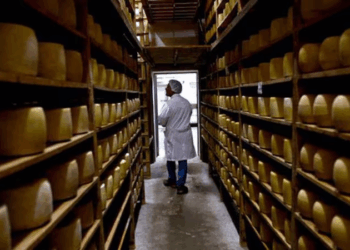 Sancor rematará más de 43 mil kilos de quesos para pagarle a sus acreedores