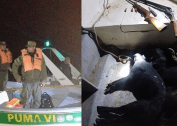 GABOTO: Dos cazadores detenidos por ingresar ilegalmente al área protegida del Parque Nacional Islas de Santa Fe