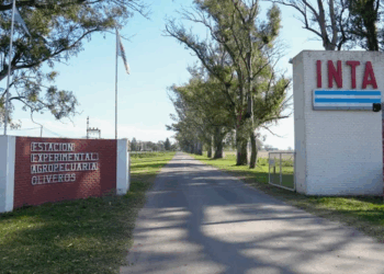 ALERTA INTA: El gobierno prepara la motosierra y en Santa Fe peligran 40 agencias que colaboran con el agro