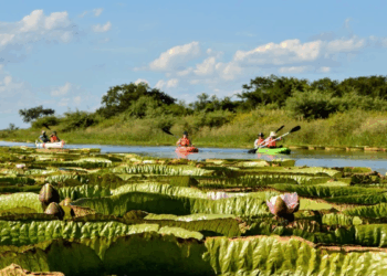 Santa Fe lanza beneficios fiscales para fortalecer el turismo y el sector hotelero