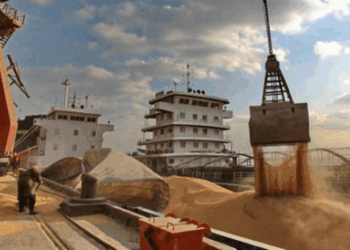 Clave en el mercado de granos: el Gobierno cambia la metodología para fijar los precios FOB