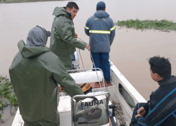 Hallaron el cuerpo de otro de los pescadores desaparecidos en las islas de Victoria