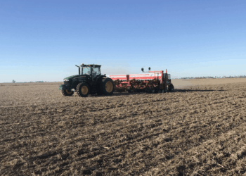 Entre excesos hídricos y márgenes ajustados, el trigo se empantana en el inicio de la campaña