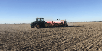 Entre excesos hídricos y márgenes ajustados, el trigo se empantana en el inicio de la campaña