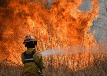 La Provincia planifica acciones de prevención y manejo del fuego
