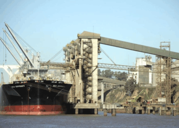 Son cinco grupos empresarios ya anotados por quedarse con Vicentín: ¿Quiénes son?