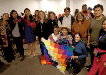 Pueblos originarios y acceso a la información: dos derechos clave en la nueva Constitución