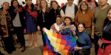 Pueblos originarios y acceso a la información: dos derechos clave en la nueva Constitución