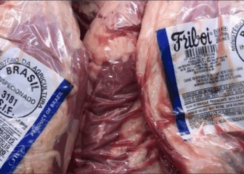 Argentina ya importó más de mil toneladas de carne brasileña: preocupación en el sector ganadero