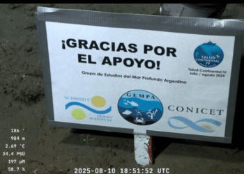 Terminó la investigación del CONICET en el lecho marino que fue furor en las redes