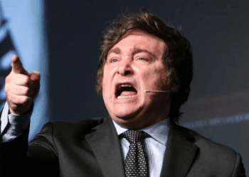 La provocación permanente: cómo Milei alimenta la escalada de insultos en redes en Argentina