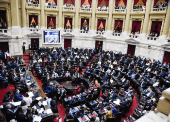Diputados aprobó rechazo al veto de la emergencia en Discapacidad