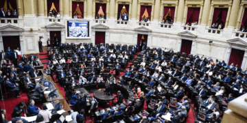 Diputados aprobó rechazo al veto de la emergencia en Discapacidad