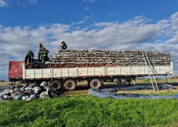 Centeno: principio de incendio en un camión cargado con carbón y leña sobre la RN 34