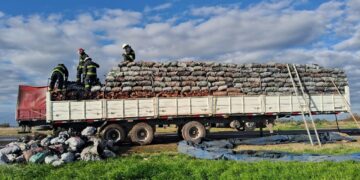 Centeno: principio de incendio en un camión cargado con carbón y leña sobre la RN 34
