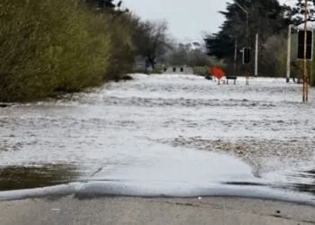 Alerta máxima por la crecida del río Carcarañá: hay más de 300 evacuados